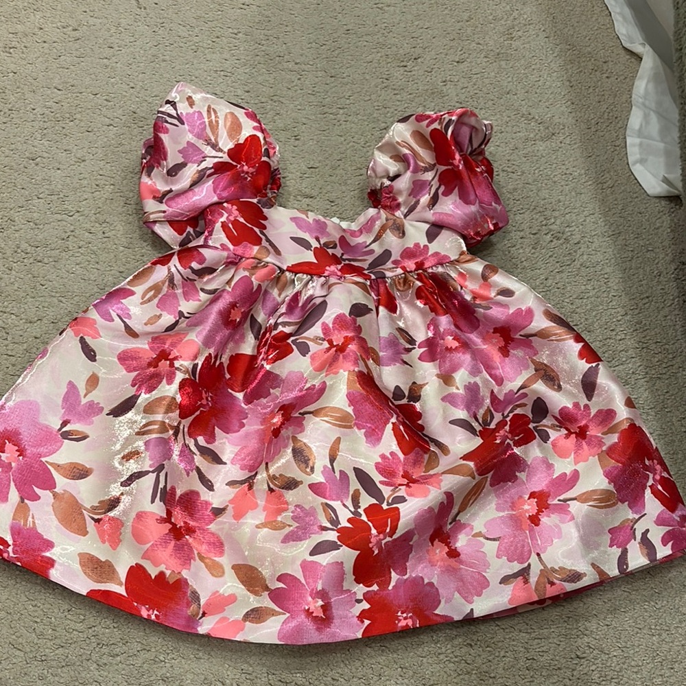 Floral Pink and Red Dress with Puff Sleeves